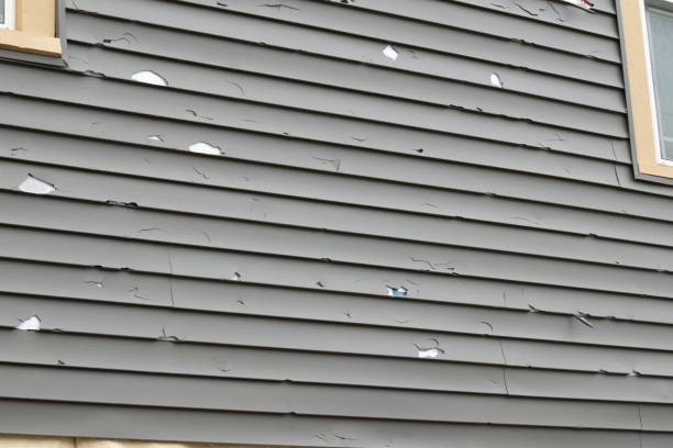 Best Construction Debris Removal  in Hazel Green, AL